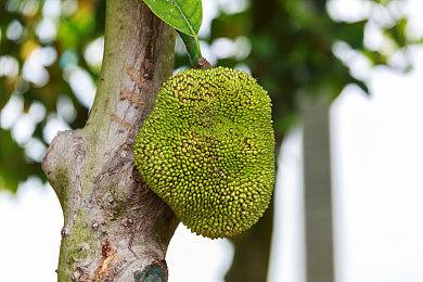 特别好评城建肉鸽游戏《超增税都市》开启特惠！造楼赚钱超上瘾